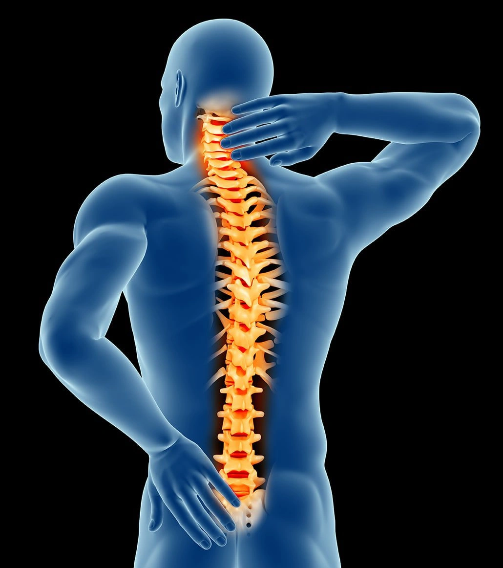 An x-ray styled graphic illustration of the back of a male body with the spinal vertebrae highlighted with golden color.