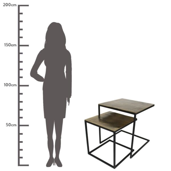 Τραπεζάκι  Χρυσό Αλουμίνιο 50x50x50cm Σετ 2Τμχ