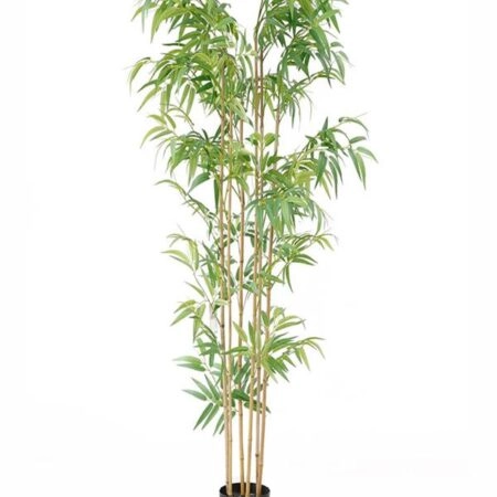 BAMBOO  NP5801_180_22_UV  ΥΨΟΣ 180cm