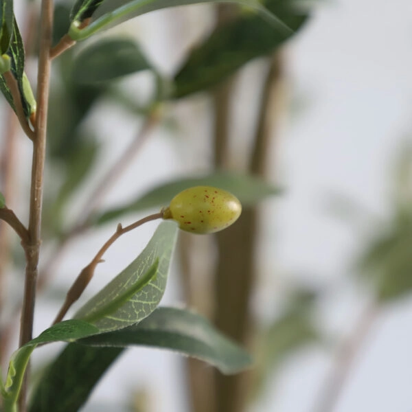 OLIVE TREE NP405_175  ΥΨΟΣ 175cm