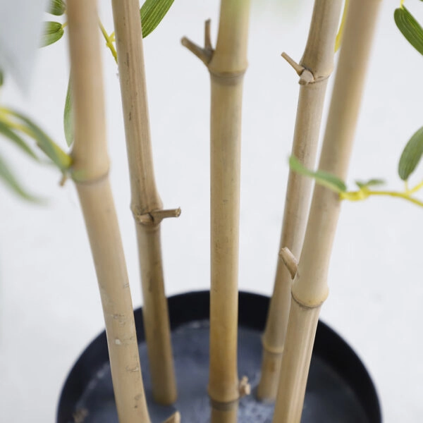 BAMBOO  NP6320_150_22 ΥΨΟΣ 150cm