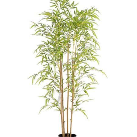 BAMBOO  NP6320_150_22 ΥΨΟΣ 150cm