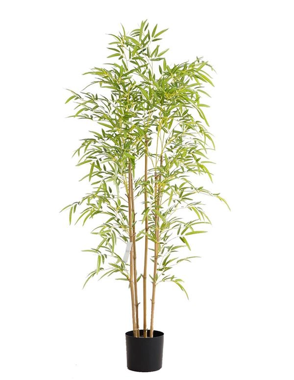 BAMBOO  NP6320_150_22 ΥΨΟΣ 150cm