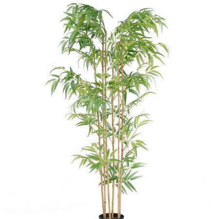 BAMBOO  NP5801_150_22_UV   ΥΨΟΣ 150cm