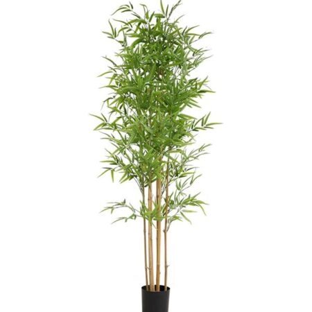 BAMBOO  NP6321_180_22  ΥΨΟΣ 180cm