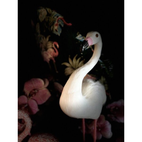 GRAN FLAMINGO DECO ΦΛΑΜΙΝΓΚΟ POLYFOAM ΛΕΥΚΟ H52cm