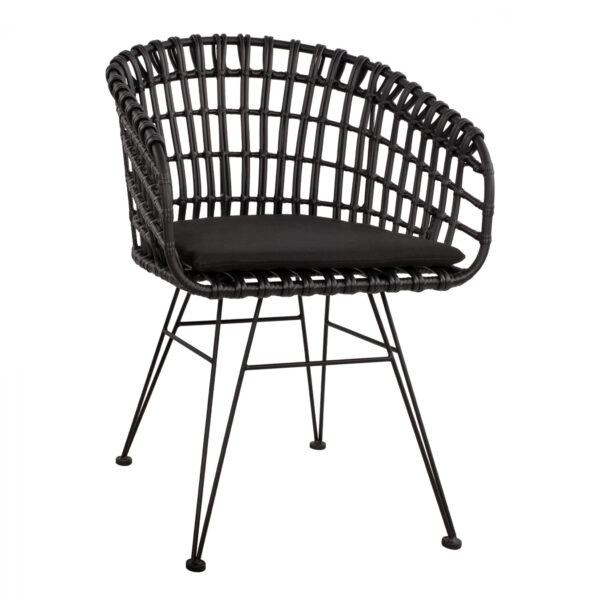 ΠΟΛΥΘΡΟΝΑ ΤΥΠΟΥ ΦΩΛΙΑ ΜΕΤΑΛΛΙΚΗ ALLEGRA HM5456.02 ΜΕ WICKER ΜΑΥΡΟ 59Χ56,5Χ83Υ εκ.