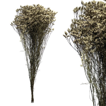 ΚΛΑΔΙ ΓΚΡΙ CRYSTAL GRASS ΑΠΟΞΗΡΑΜΕΝΟ 6~8ΤΜΧ/ΜΑΤΣΟ Υ60~70cm, 25~30cm ΤΟ ΑΝΘΟΣ- 100/ΚΙΒ