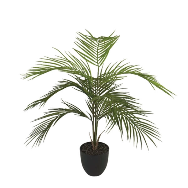 ΔΕΝΤΡΟ ΦΟΙΝΙΚΑΣ PALM ΣΕ ΚΑΣΠΩ - Y81cm 8/KIB