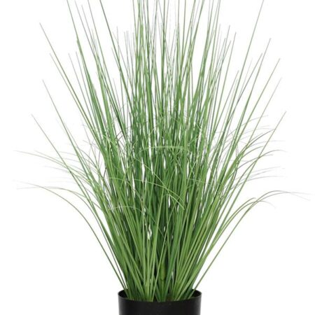 ONION GRASS TREE NP1009_60 ΥΨΟΣ 60cm NewPlan