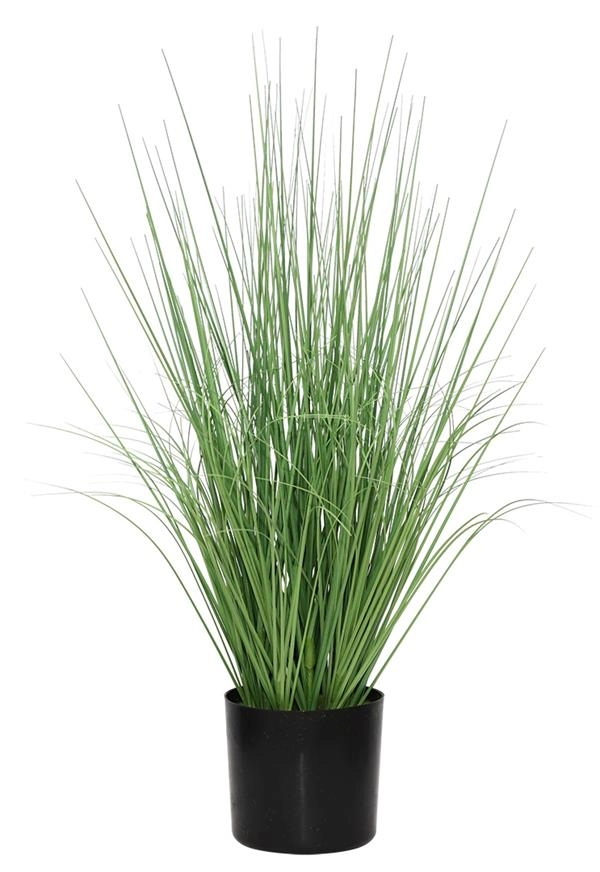 ONION GRASS TREE  NP1009_60 ΥΨΟΣ 60cm NewPlan