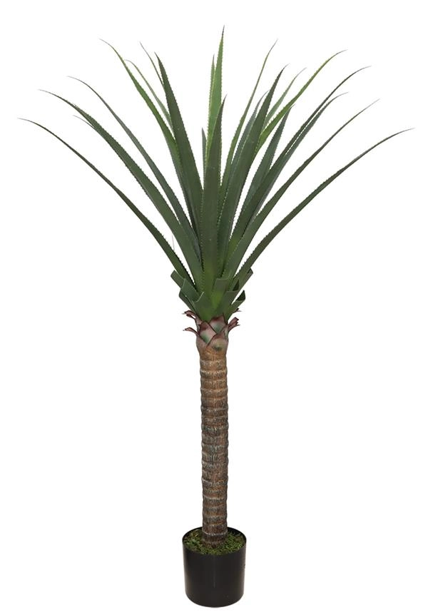 AGAVE TREE  NP802_160  ΥΨΟΣ 160cm NewPlan