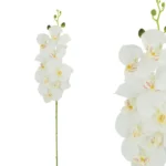 ΚΛΑΔΙ ΛΕΥΚΟ ΟΡΧΙΔΕΑ Y90cm 12/120ΚΙΒ
