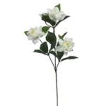 ΚΛΑΔΙ ΕΚΡΟΥ ΓΑΡΔΕΝΙΑ Y60cm. 24/288KIB