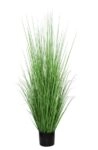 ONION GRASS TREE  NP1011_120 ΥΨΟΣ 120cm NewPlan