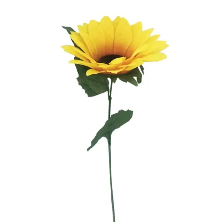 ΚΛΑΔΙ ΗΛΙΟΤΡΟΠΙΟ - Y72cm. 48/288KIB