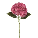 ΚΛΑΔΙ ΟΡΤΑΝΣΙΑΣ ΣΟΜΟΝ/ΦΟΥΞ REAL TOUCH - Φ17x50cm 24/240ΚΙΒ