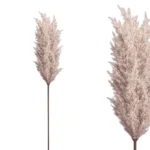 ΚΛΑΔΙ ΠΑΜΠΑΣ ΚΟΡΤΑΔΕΡΙΑ ΓΚΡΙ - Y86cm 12/144ΚIB