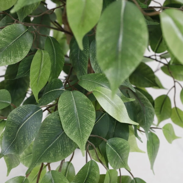 FICUS TREE NP230_210_UV  ΥΨΟΣ 210cm
