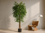 FICUS TREE NP230_210_UV  ΥΨΟΣ 210cm
