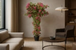 BOUGAINVILLEA  NP_34_160  ΥΨΟΣ 160cm