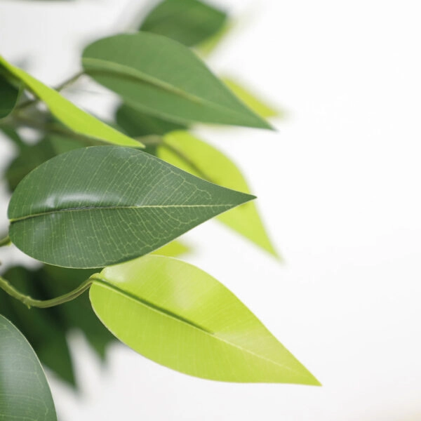 FICUS TREE NP5208_150   ΥΨΟΣ 150cm