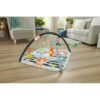 Βρεφικό Μουσικό Γυμναστήριο 3 Σε 1 Fisher Price