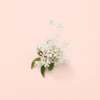 Gucci Bloom Γυναικείο άρωμα Eau de Parfum