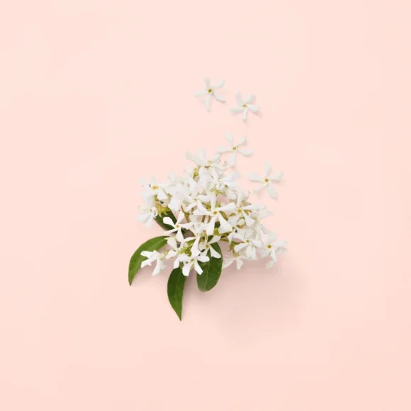Gucci Bloom Γυναικείο άρωμα Eau de Parfum