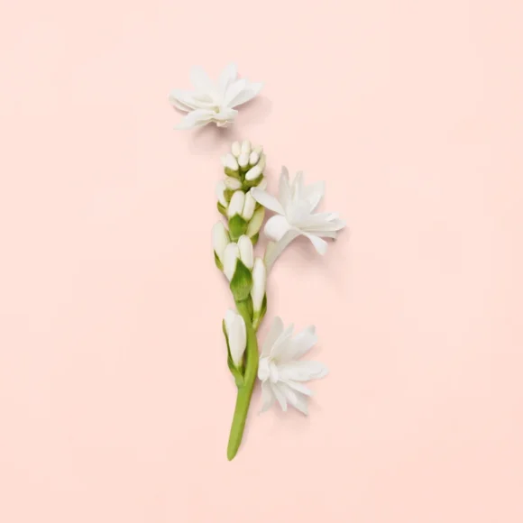 Gucci Bloom Γυναικείο άρωμα Eau de Parfum