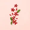 Gucci Bloom Γυναικείο άρωμα Eau de Parfum