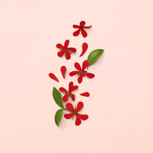 Gucci Bloom Γυναικείο άρωμα Eau de Parfum
