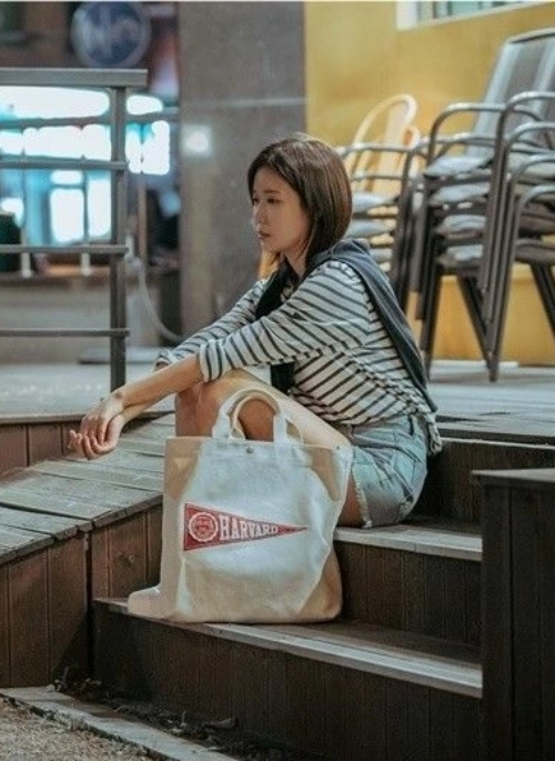 Beige Harvard Canvas Bag | Kang Mi Rae – My ID is Gangnam Beauty