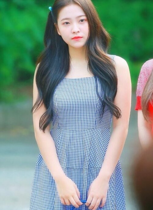 Blue Plaid Sleeveless Dress | Yeri – Red Velvet