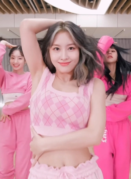 Pink Argyle Crop Top | Momo – Twice