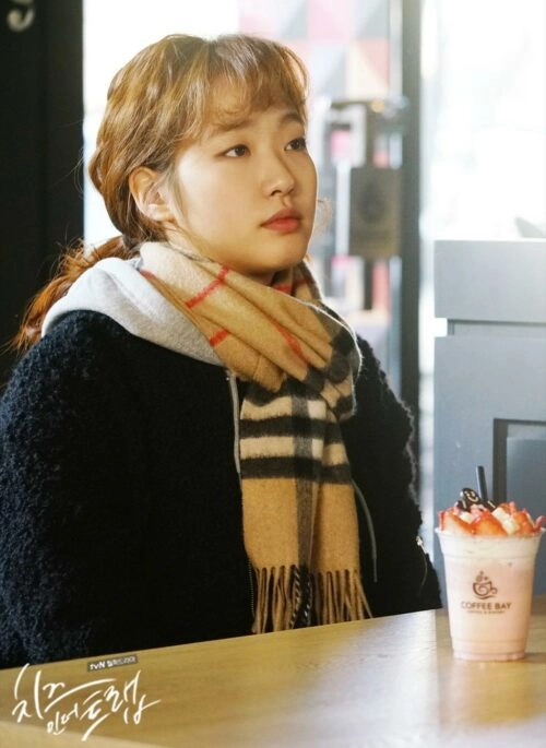 Brown Plaid Scarf | Hong Seol – Cheese in the Trap