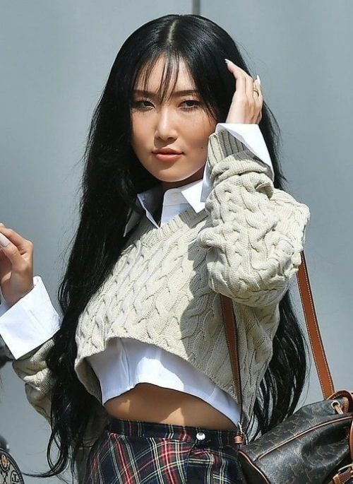 Beige Cropped Knitted Sweater | Hwasa – Mamamoo