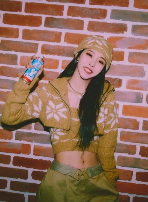 Brown Printed Cropped Jacket | Moonbyul – Mamamoo