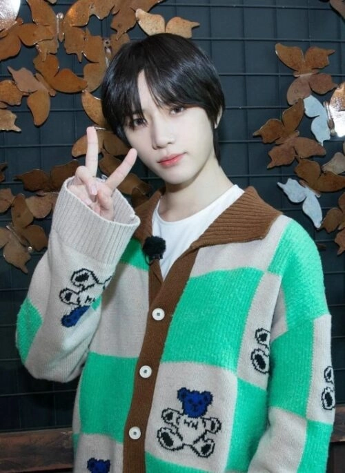 Green Checkered Bear Cardigan | Beomgyu – TXT