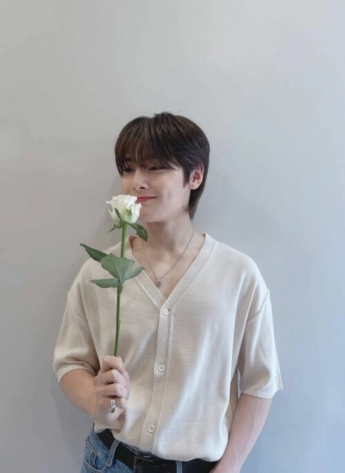 Beige Knitted Short Sleeve Cardigan | Jeongin – Stray Kids