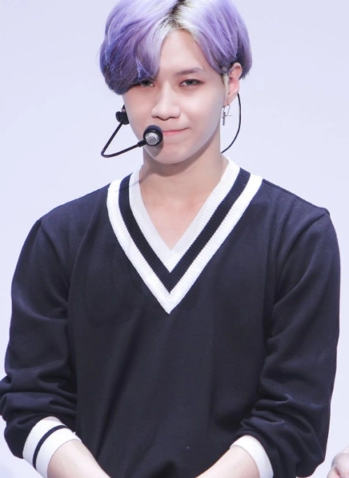 Black Striped V-Neck Long Sleeve T-Shirt | Taemin – SHINee