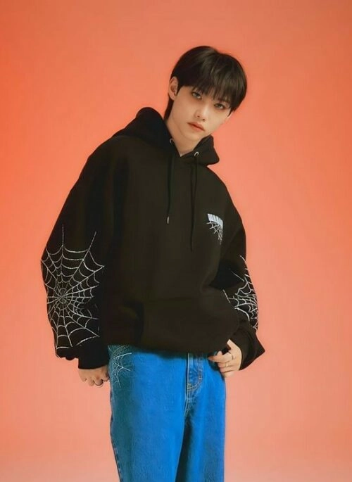 Black Spider Web Printed Hoodie | Felix – Stray Kids