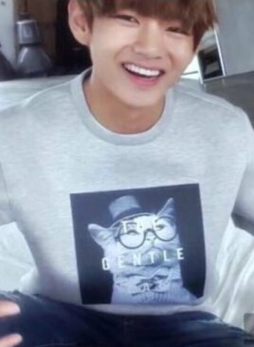 Grey “The Gentle Cat” Crewneck T-Shirt | Taehyung – BTS