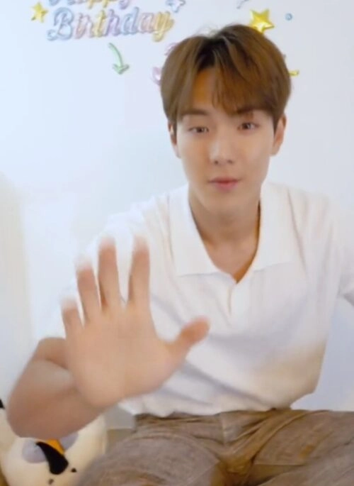 White Semi Casual Polo Shirt | Shownu – MONSTA X