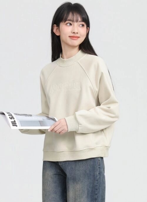 Thick High Neck Sweatshirt With Embroidery