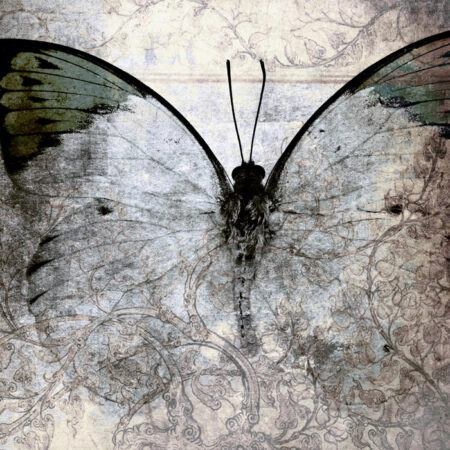 Πινακας σε καμβά ABSTRACT BUTTERFLY - Πεταλουδες Sticky 5