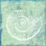 Πίνακας σε καμβά ARTWORK SHELL