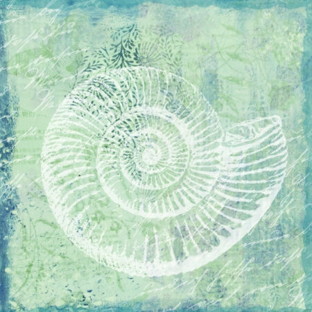 Πίνακας σε καμβά ARTWORK SHELL - Κοχυλια Sticky 5