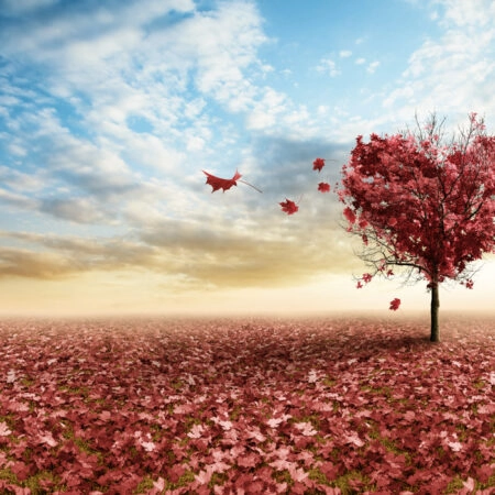 Πινακας σε καμβά AUTUMN HEART - Botanical - Φυτα Sticky 5