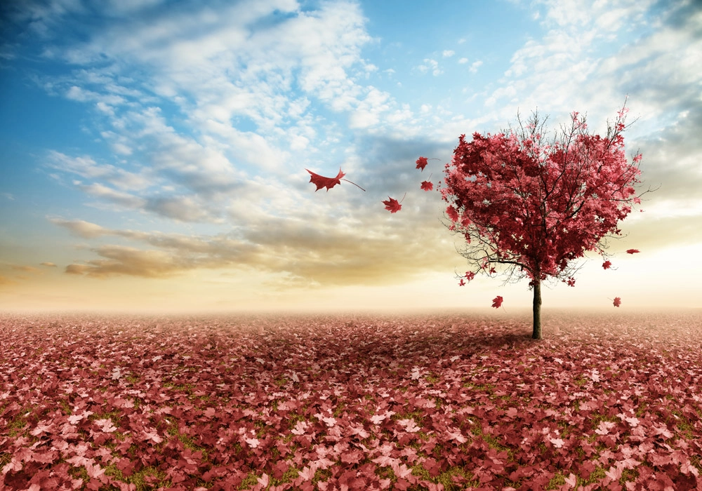 Πινακας σε καμβά AUTUMN HEART